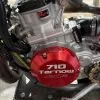 PR2 Ignition/Stator Cover CX50JR/SR/FWE/CX65
